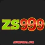 ZS999