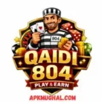 Qaidi 804